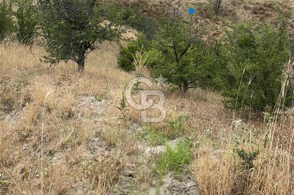 Manisa Selendi Merkeze Yakın 22 Dönüm Yatırımlık Satılık Tarla