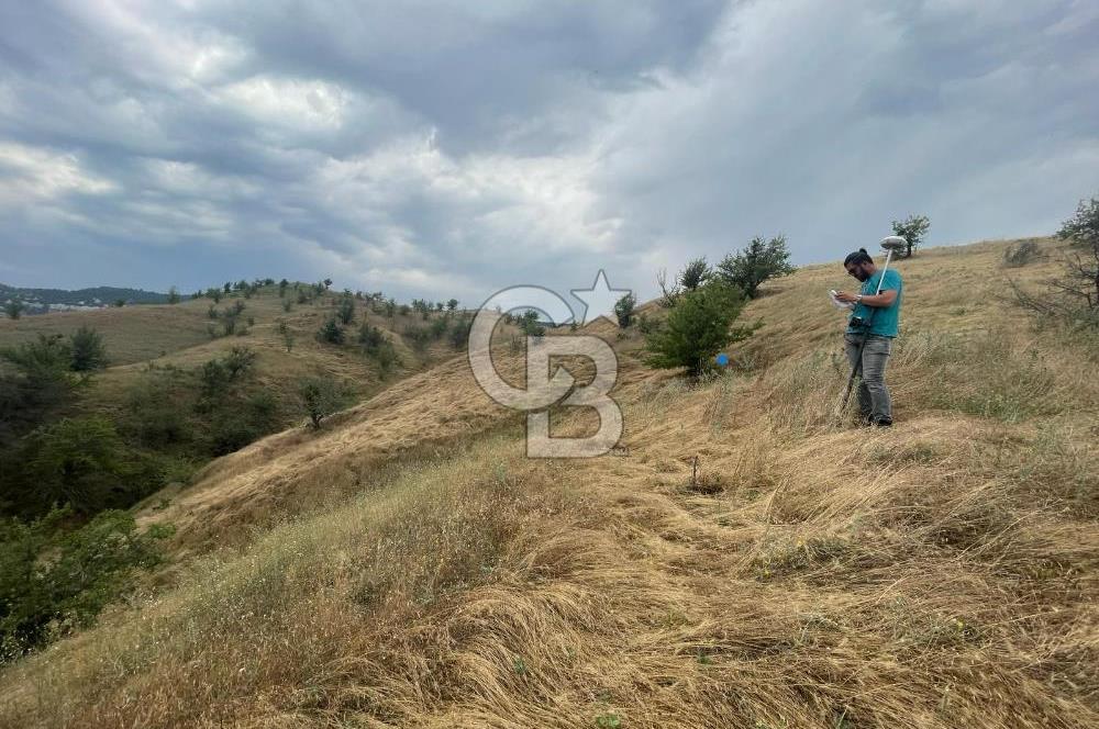Manisa Selendi Merkeze Yakın 22 Dönüm Yatırımlık Satılık Tarla