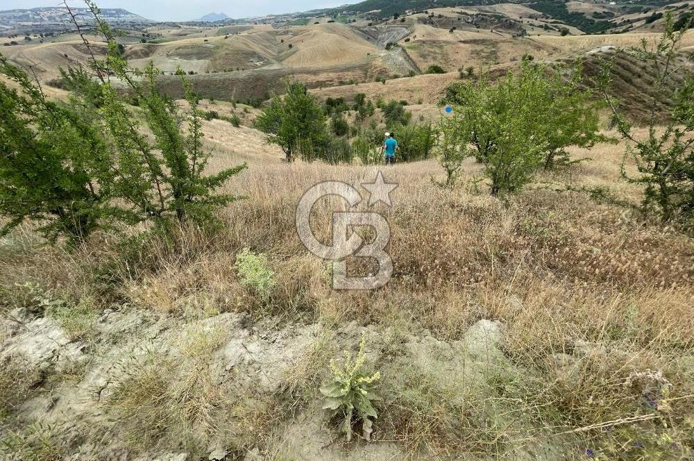 Manisa Selendi Merkeze Yakın 22 Dönüm Yatırımlık Satılık Tarla