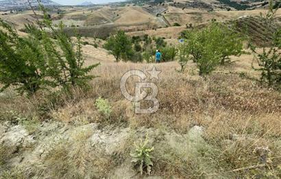Manisa Selendi Merkeze Yakın 22 Dönüm Yatırımlık Satılık Tarla