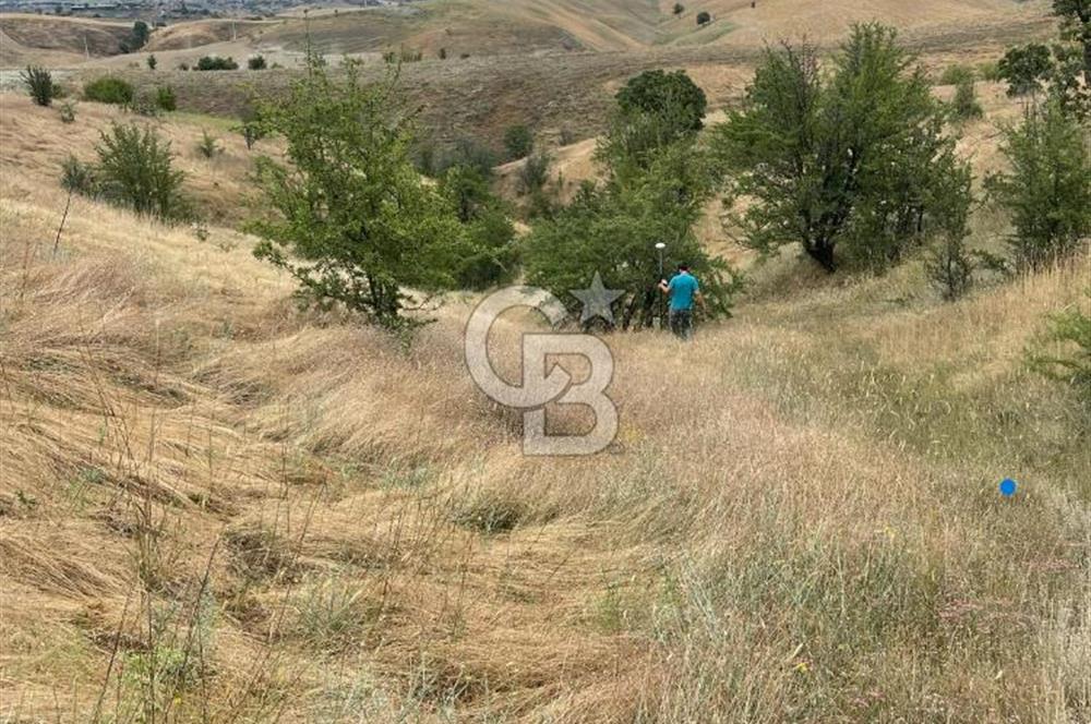 Manisa Selendi Merkeze Yakın 22 Dönüm Yatırımlık Satılık Tarla