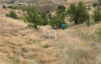 Manisa Selendi Merkeze Yakın 22 Dönüm Yatırımlık Satılık Tarla