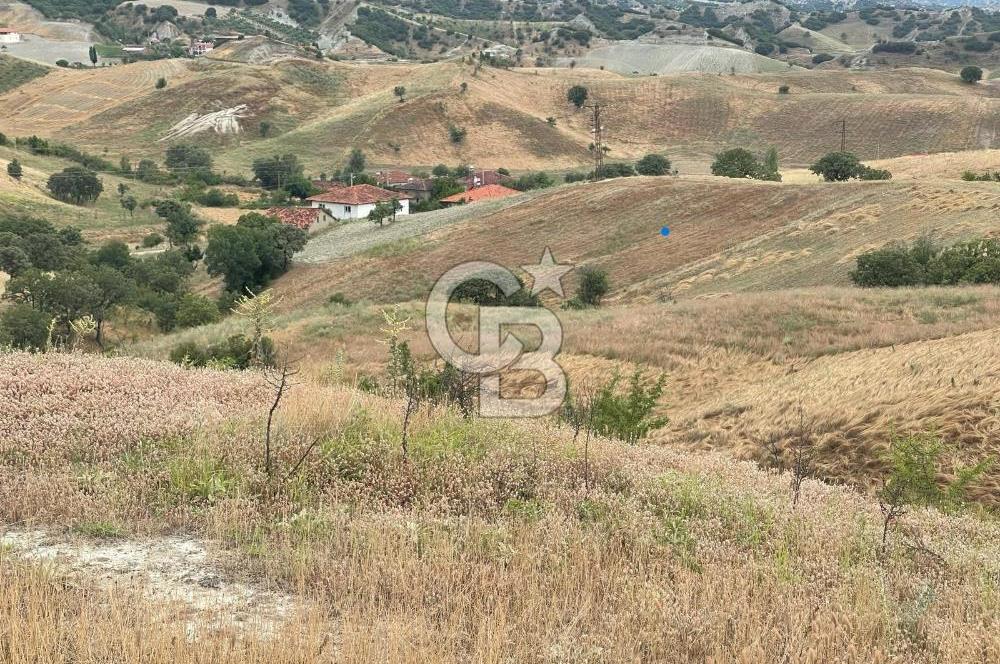 Manisa Selendi Merkeze Yakın 22 Dönüm Yatırımlık Satılık Tarla