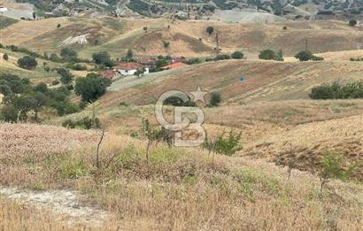 Manisa Selendi Merkeze Yakın 22 Dönüm Yatırımlık Satılık Tarla