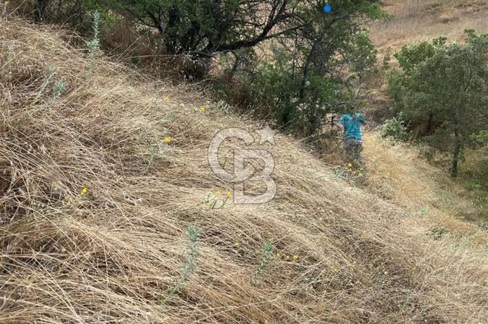 Manisa Selendi Merkeze Yakın 22 Dönüm Yatırımlık Satılık Tarla