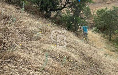 Manisa Selendi Merkeze Yakın 22 Dönüm Yatırımlık Satılık Tarla