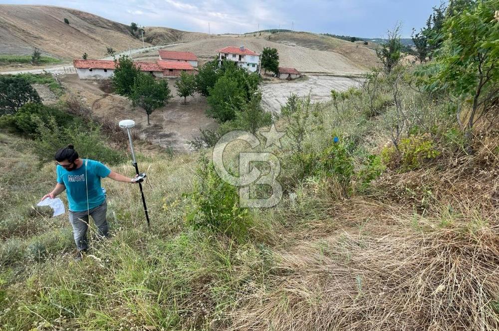 Manisa Selendi Merkeze Yakın 22 Dönüm Yatırımlık Satılık Tarla