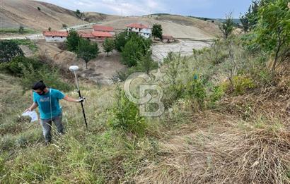 Manisa Selendi Merkeze Yakın 22 Dönüm Yatırımlık Satılık Tarla