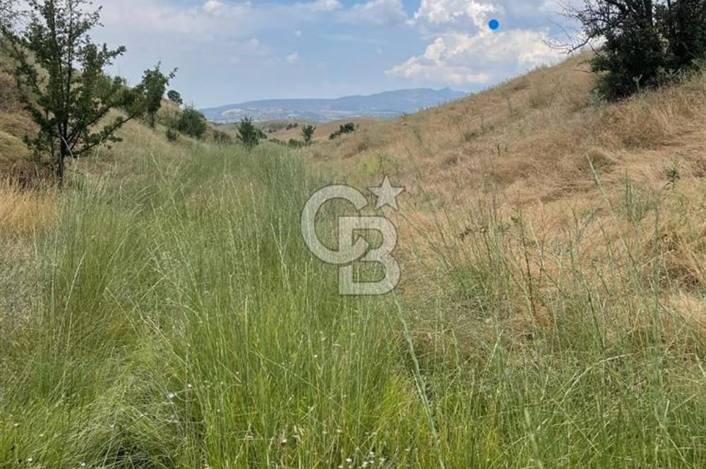 Manisa Selendi Merkeze Yakın 22 Dönüm Yatırımlık Satılık Tarla