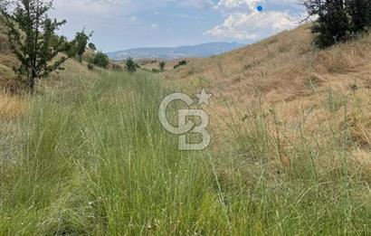 Manisa Selendi Merkeze Yakın 22 Dönüm Yatırımlık Satılık Tarla
