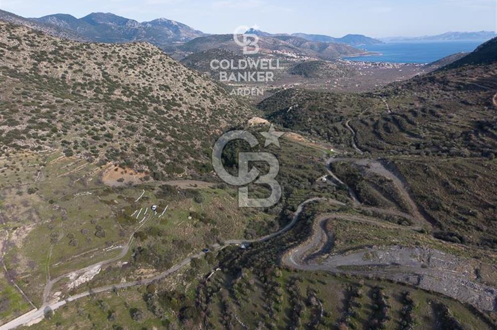 MUĞLA DATÇA YAZI MAHALLESİ’NDE CB ARDEN DEN YATIRIM FIRSATI SATILIK ZEYTİNLİK