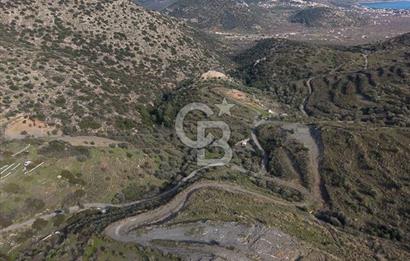 MUĞLA DATÇA YAZI MAHALLESİ’NDE CB ARDEN DEN YATIRIM FIRSATI SATILIK ZEYTİNLİK