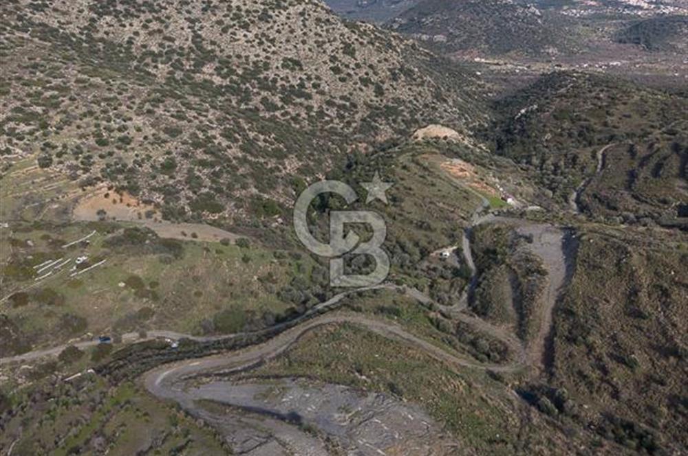 MUĞLA DATÇA YAZI MAHALLESİ’NDE CB ARDEN DEN YATIRIM FIRSATI SATILIK ZEYTİNLİK