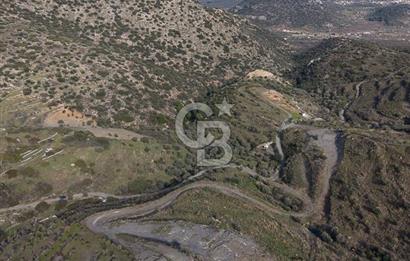 MUĞLA DATÇA YAZI MAHALLESİ’NDE CB ARDEN DEN YATIRIM FIRSATI SATILIK ZEYTİNLİK