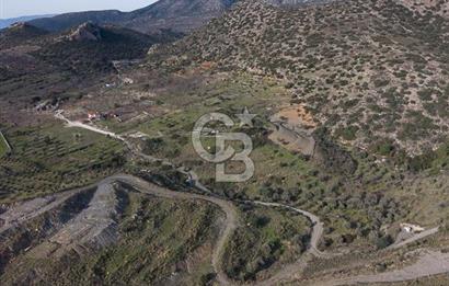 MUĞLA DATÇA YAZI MAHALLESİ’NDE CB ARDEN DEN YATIRIM FIRSATI SATILIK ZEYTİNLİK
