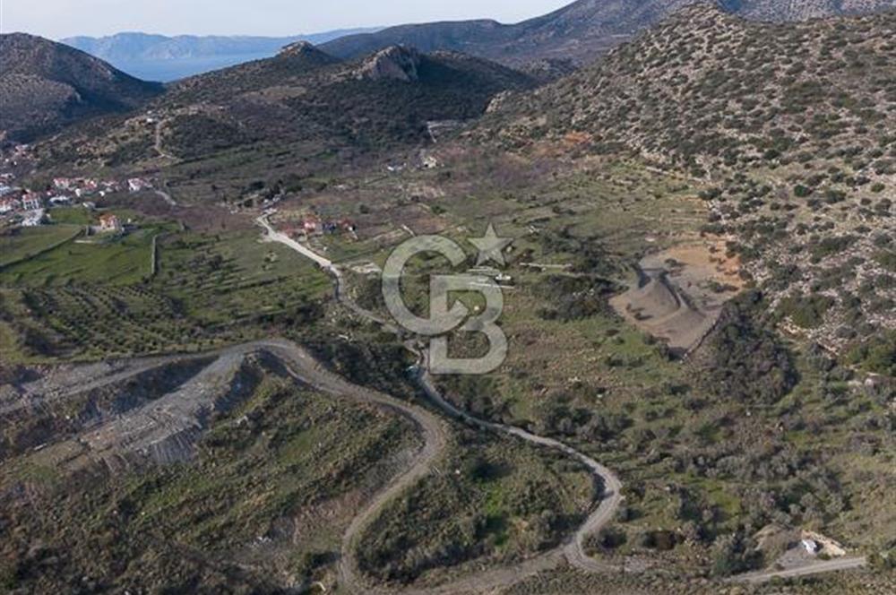 MUĞLA DATÇA YAZI MAHALLESİ’NDE CB ARDEN DEN YATIRIM FIRSATI SATILIK ZEYTİNLİK