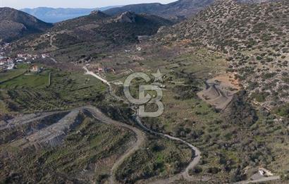 MUĞLA DATÇA YAZI MAHALLESİ’NDE CB ARDEN DEN YATIRIM FIRSATI SATILIK ZEYTİNLİK