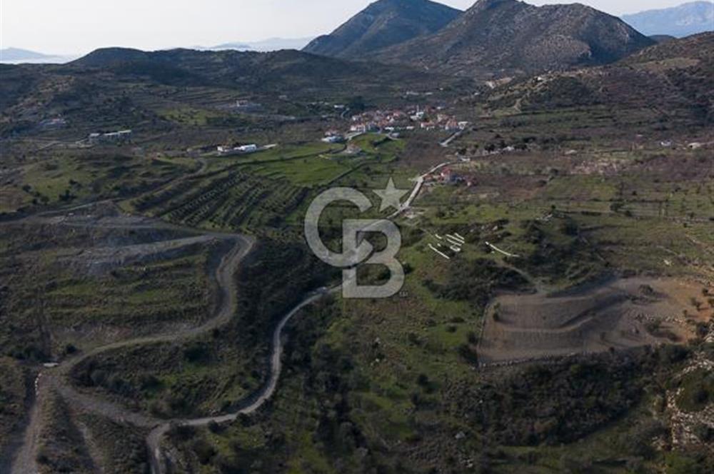 MUĞLA DATÇA YAZI MAHALLESİ’NDE CB ARDEN DEN YATIRIM FIRSATI SATILIK ZEYTİNLİK