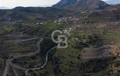 MUĞLA DATÇA YAZI MAHALLESİ’NDE CB ARDEN DEN YATIRIM FIRSATI SATILIK ZEYTİNLİK