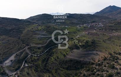 MUĞLA DATÇA YAZI MAHALLESİ’NDE CB ARDEN DEN YATIRIM FIRSATI SATILIK ZEYTİNLİK
