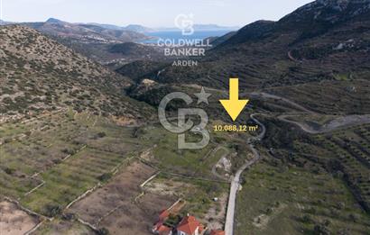 MUĞLA DATÇA YAZI MAHALLESİ’NDE CB ARDEN DEN YATIRIM FIRSATI SATILIK ZEYTİNLİK