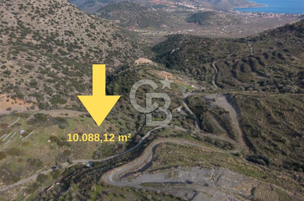 MUĞLA DATÇA YAZI MAHALLESİ’NDE CB ARDEN DEN YATIRIM FIRSATI SATILIK ZEYTİNLİK