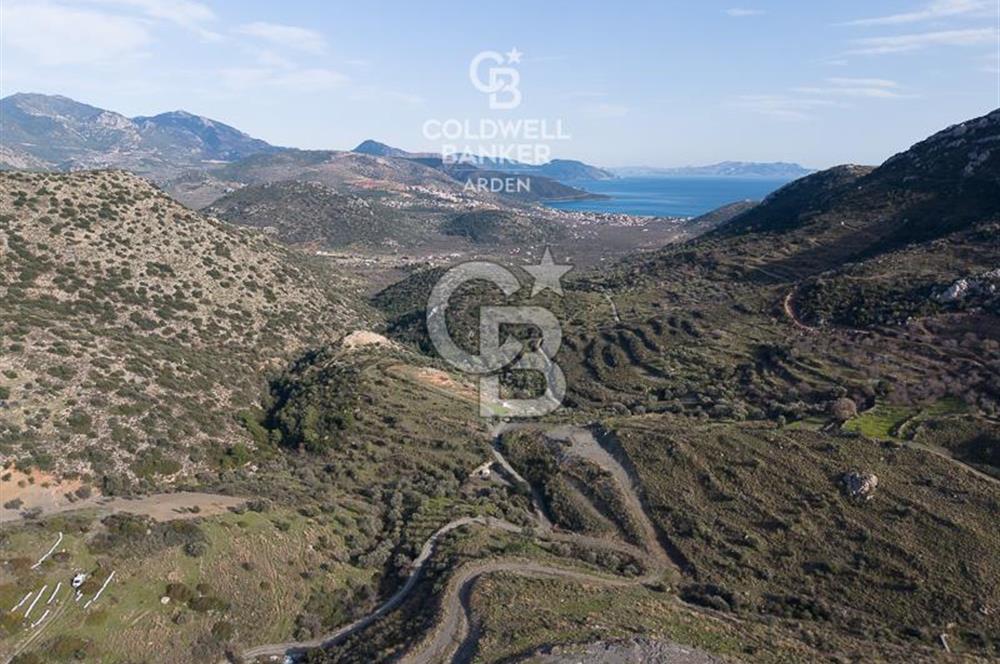 MUĞLA DATÇA YAZI MAHALLESİ’NDE CB ARDEN DEN YATIRIM FIRSATI SATILIK ZEYTİNLİK
