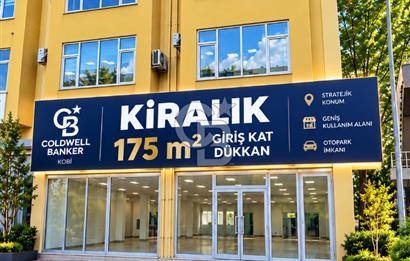 Tuzla BİLMO'da , 175 m² Kiralık İş Yeri / Atölye / İmalathane