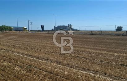 Tekirdağ Çorlu Seymen E-5 Cepheli 7.071 M² Satılık Tarla
