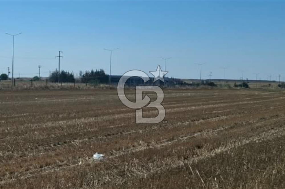 Tekirdağ Çorlu Seymen E-5 Cepheli 7.071 M² Satılık Tarla