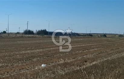 Tekirdağ Çorlu Seymen E-5 Cepheli 7.071 M² Satılık Tarla