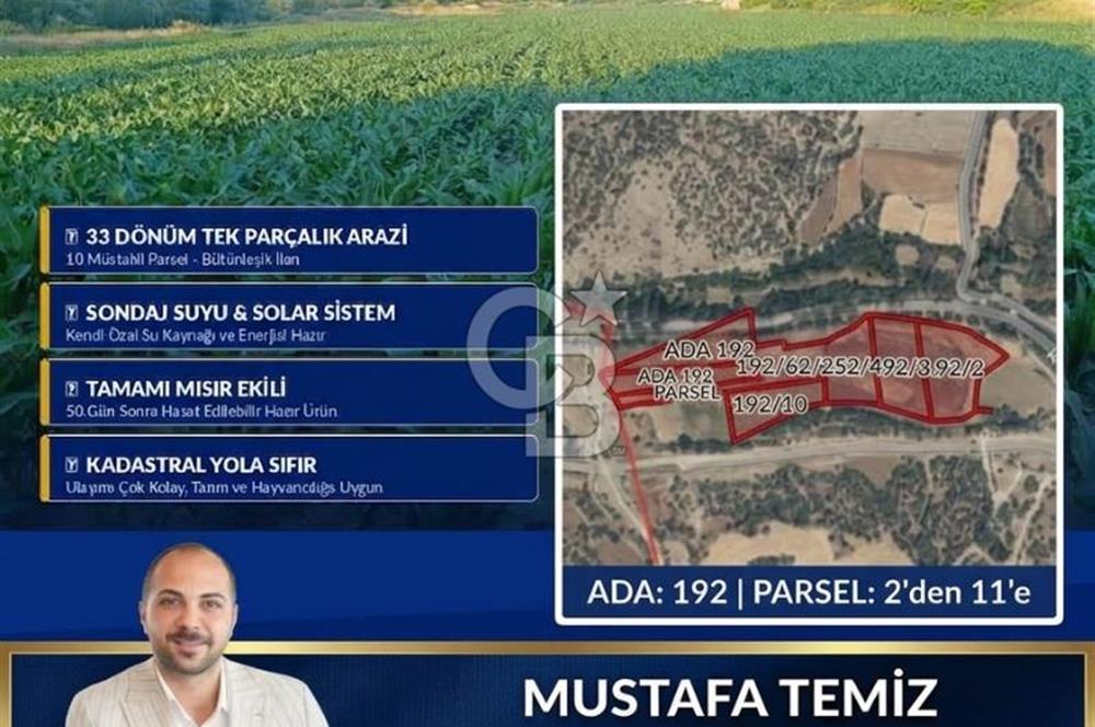 Hasatı Yakın Sondajlı Tarım Arazisi