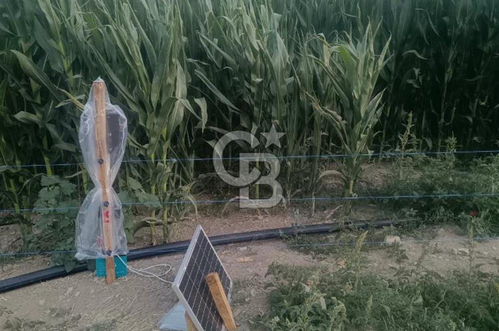 Bolu'da 33 Dönüm Tarım Arazisi