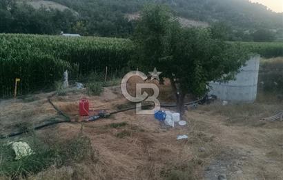 Hasatı Yakın Sondajlı Tarım Arazisi