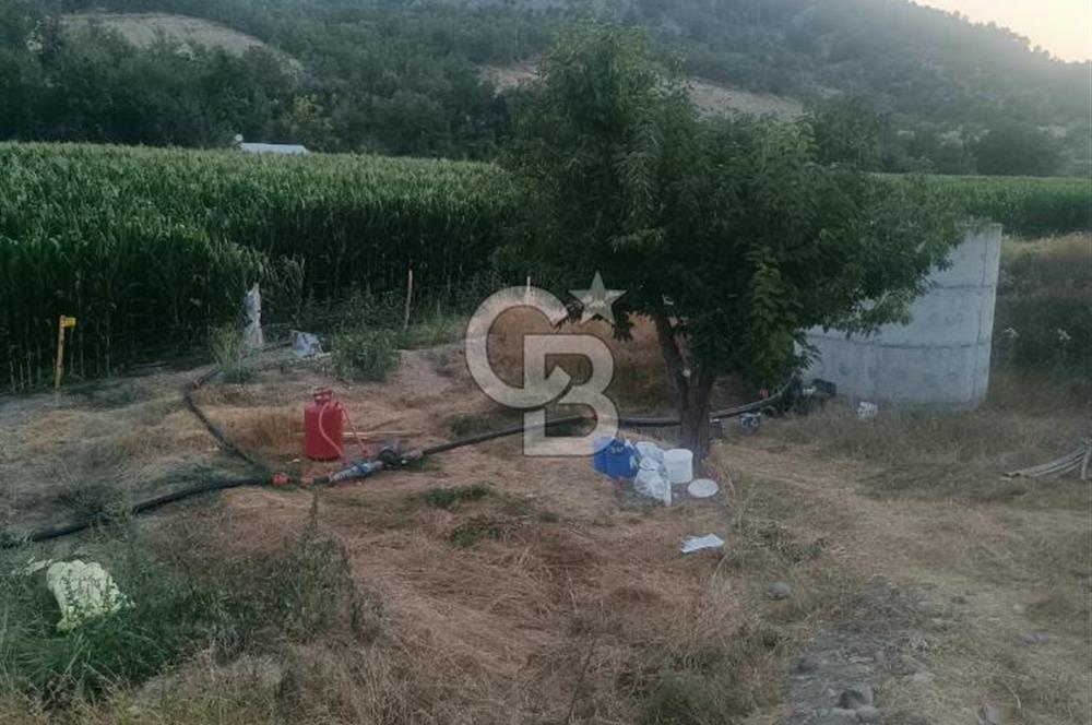 Bolu'da 33 Dönüm Tarım Arazisi