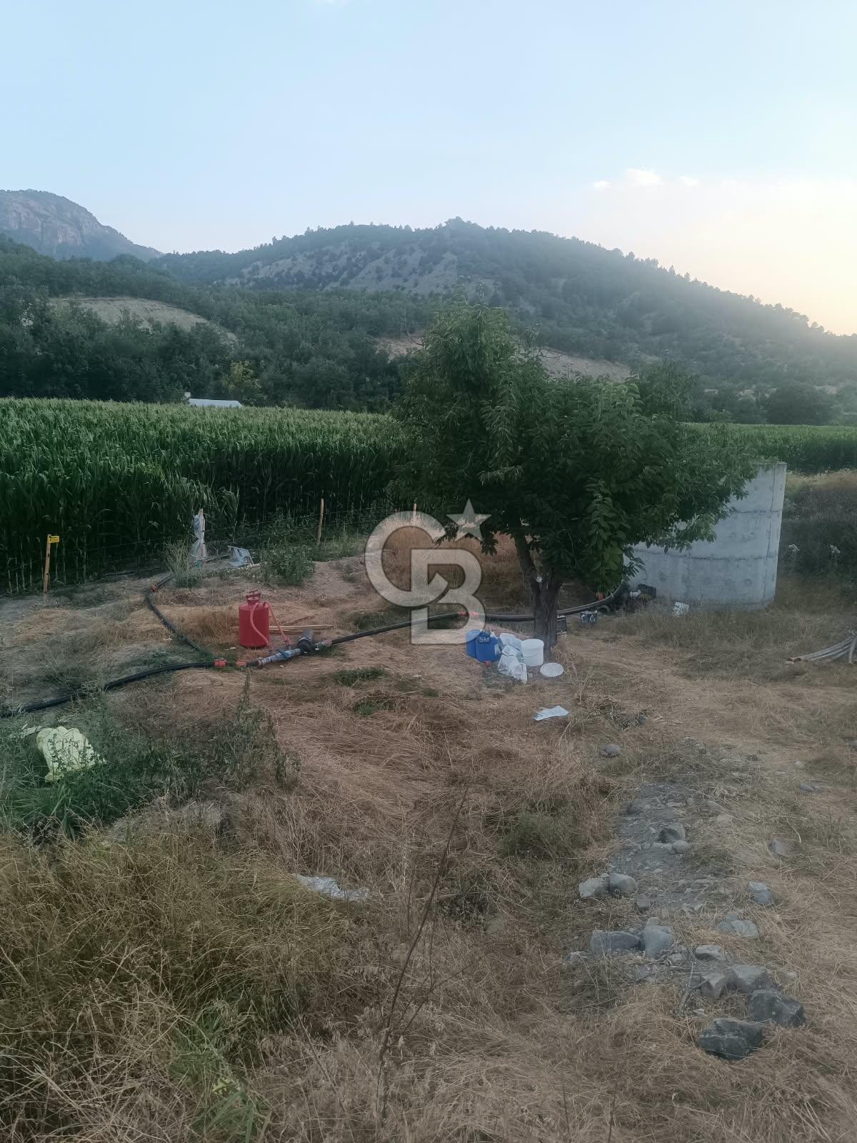 Bolu'da 33 Dönüm Tarım Arazisi