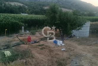 Bolu'da 33 Dönüm Tarım Arazisi - 2 - 373141