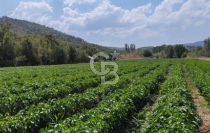 Bolu'da Elektrik ve Sondaj Suyu Olan Tarım Arazisi