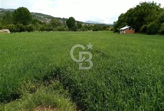 Hasatı Yakın Sondajlı Tarım Arazisi - 3 - 373140