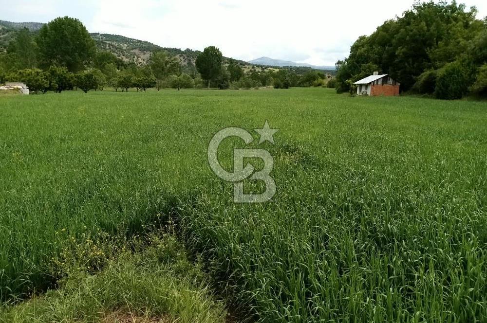 Bolu'da Elektrik ve Sondaj Suyu Olan Tarım Arazisi