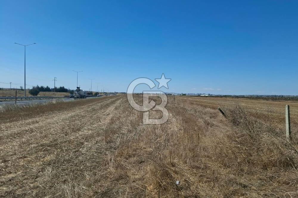 Tekirdağ Çorlu Seymen E-5 Cepheli 7.071 M² Satılık Tarla