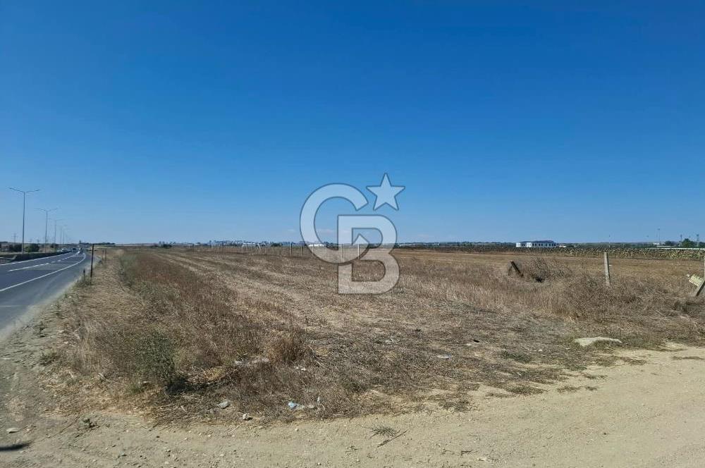 Tekirdağ Çorlu Seymen E-5 Cepheli 7.071 M² Satılık Tarla