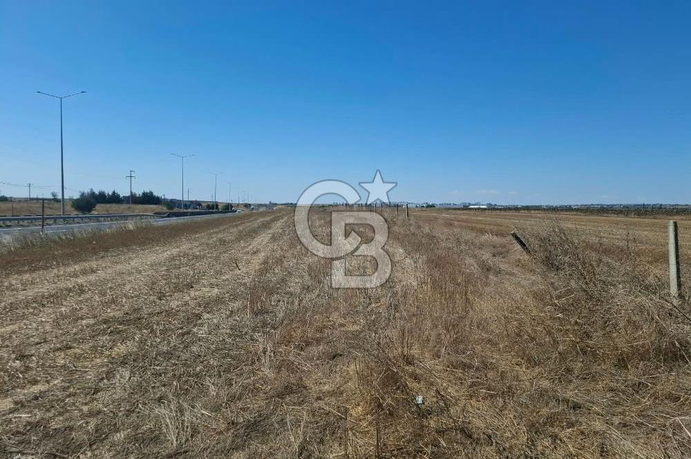 Tekirdağ Çorlu Seymen E-5 Cepheli 7.071 M² Satılık Tarla