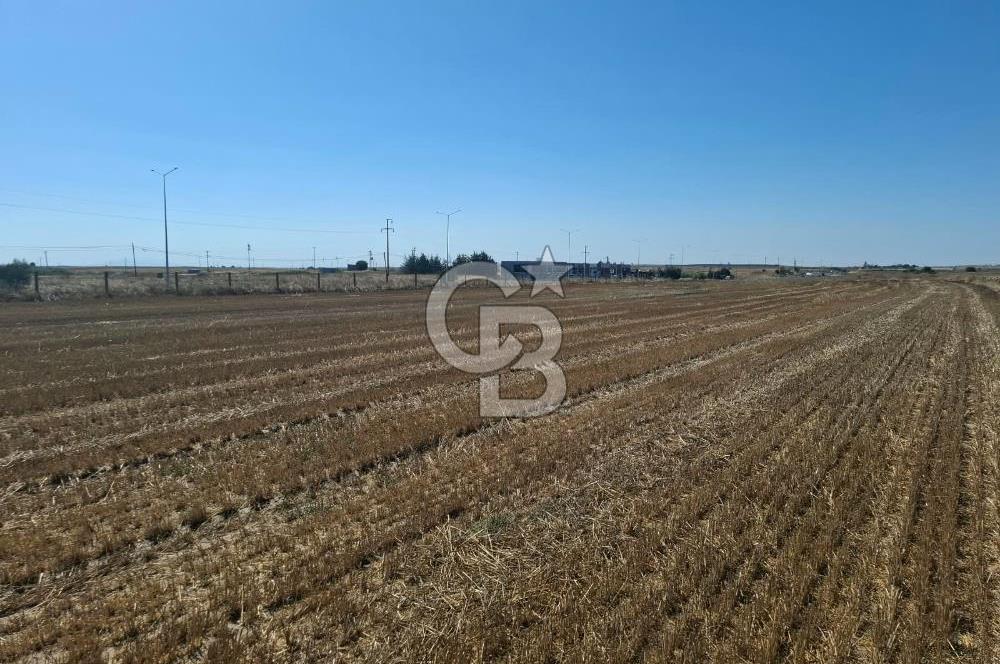 Tekirdağ Çorlu Seymen E-5 Cepheli 7.071 M² Satılık Tarla