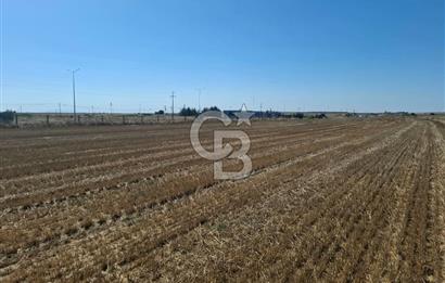 Tekirdağ Çorlu Seymen E-5 Cepheli 7.071 M² Satılık Tarla
