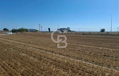 Tekirdağ Çorlu Seymen E-5 Cepheli 7.071 M² Satılık Tarla