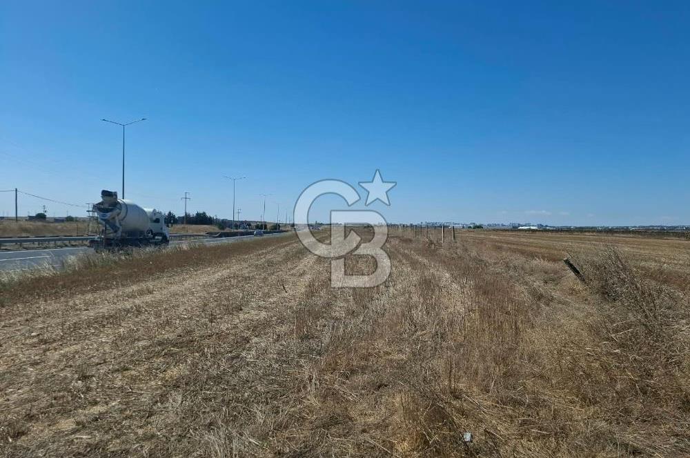 Tekirdağ Çorlu Seymen E-5 Cepheli 7.071 M² Satılık Tarla