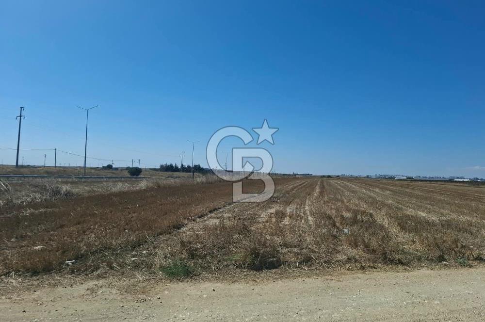 Tekirdağ Çorlu Seymen E-5 Cepheli 7.071 M² Satılık Tarla