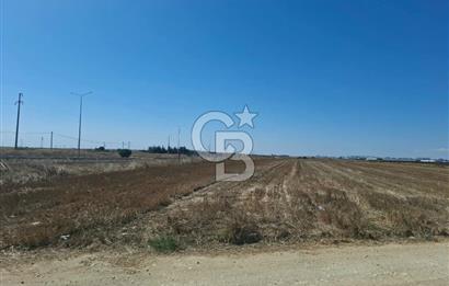 Tekirdağ Çorlu Seymen E-5 Cepheli 7.071 M² Satılık Tarla