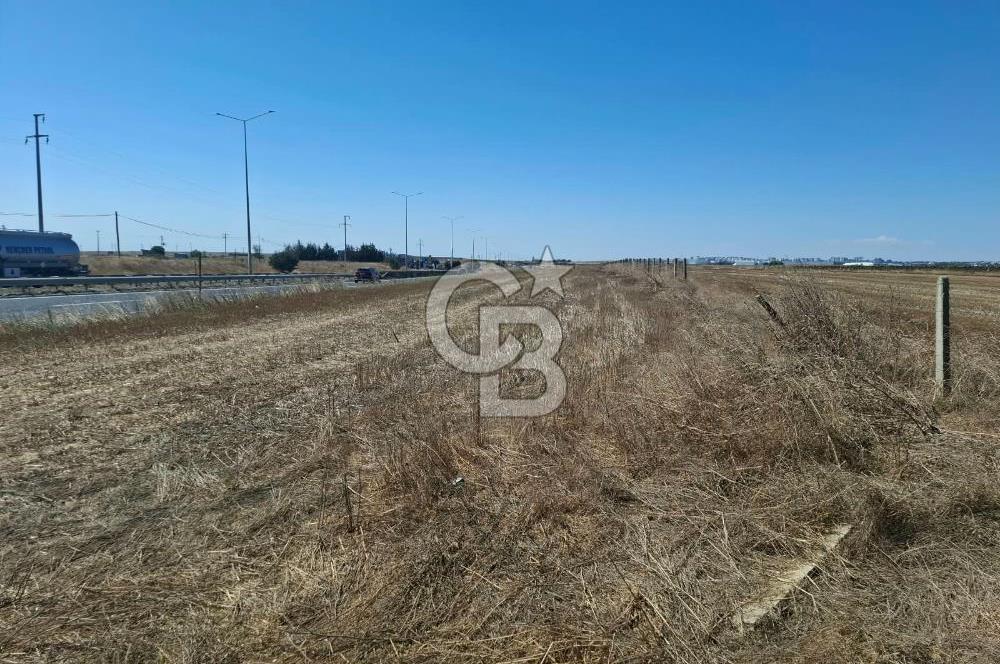 Tekirdağ Çorlu Seymen E-5 Cepheli 7.071 M² Satılık Tarla